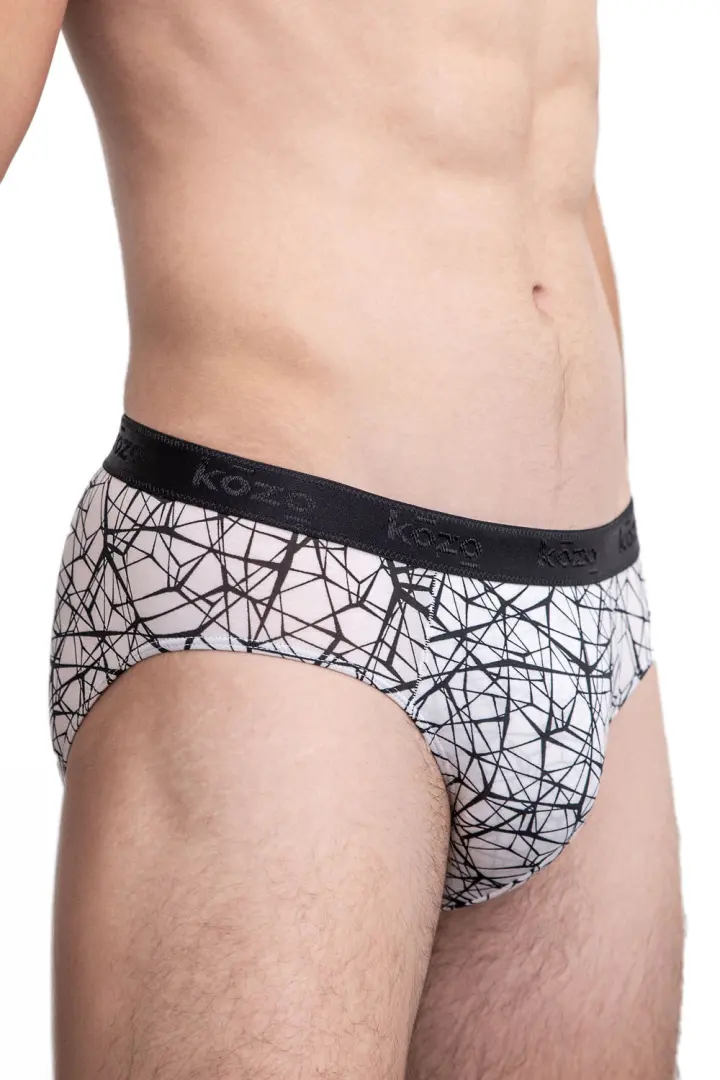 Muške gaće Slip - print Web
