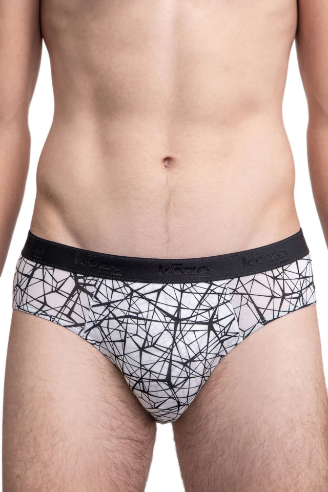 Muške gaće Slip - print Web