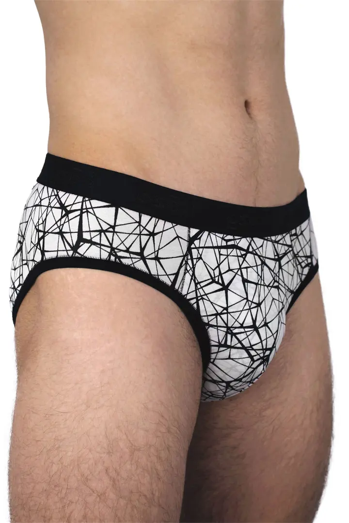 Muške gaće Slip premium - print Web