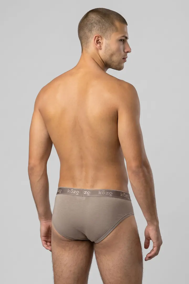Muške gaće Slip premium - Sive