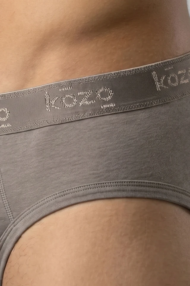 Muške gaće Slip premium - Sive