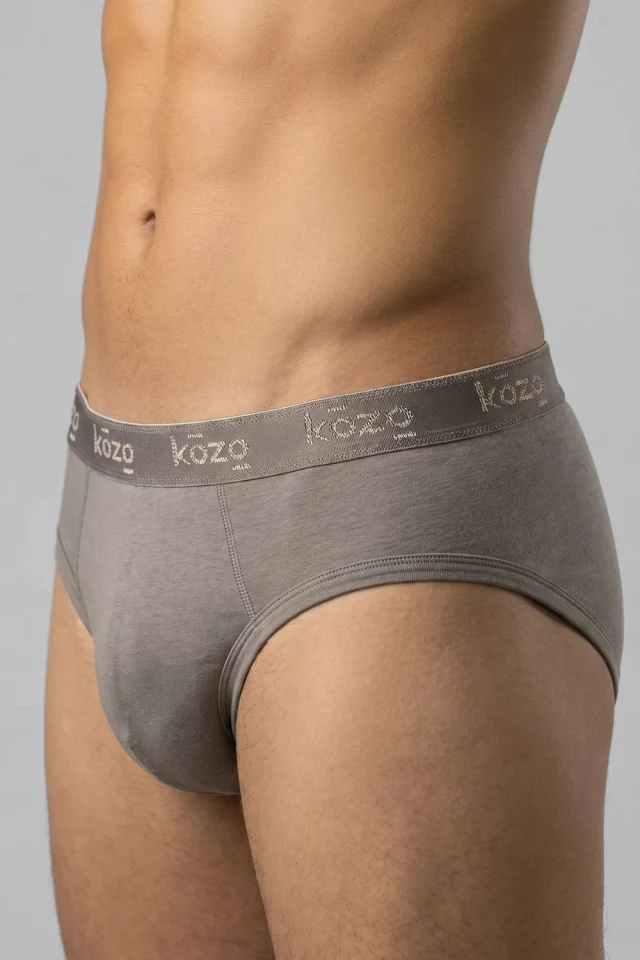 Muške gaće Slip premium - Sive
