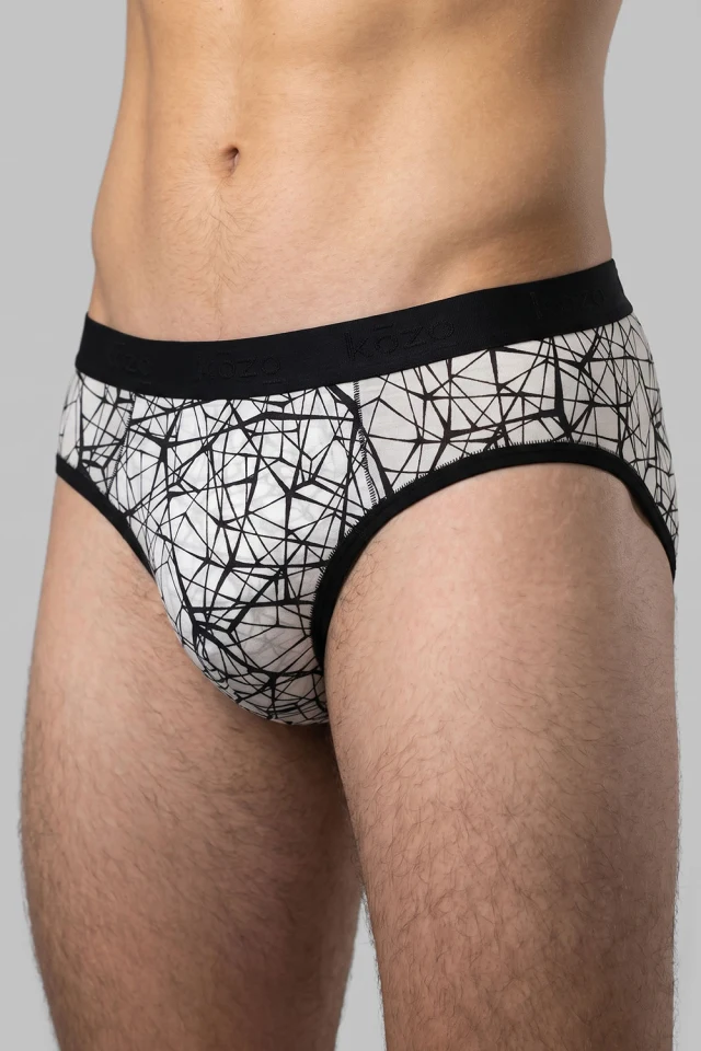 Muške gaće Slip premium - Web